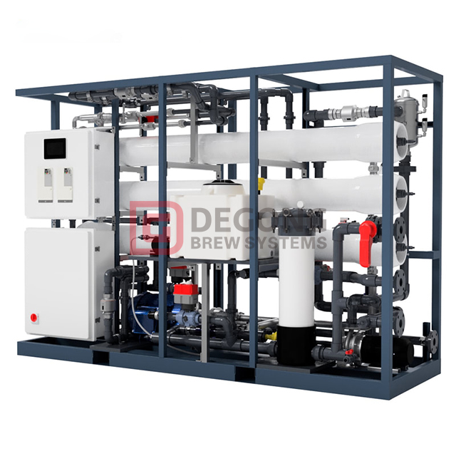 0.5T/H Seawater Desalination Equipment From DEGONG 