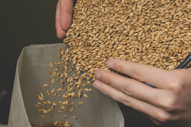 Guide to All Grain Brewing