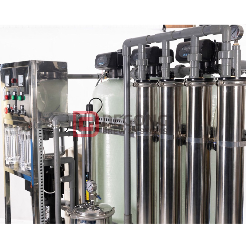 1000LPH RO Water Treatment System Two-Stage SS304 Pure