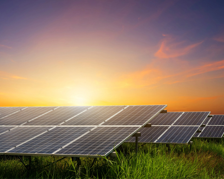How Can Breweries Harness Solar Energy?