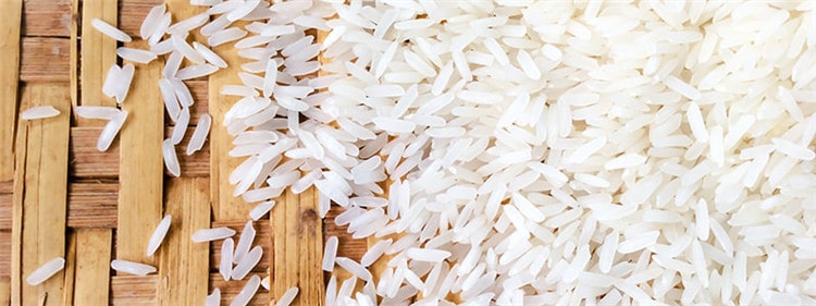 rice-lager-featured-min