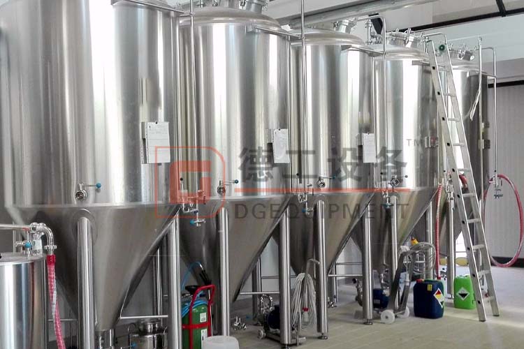 What Is The Process of Beer Fermentation?