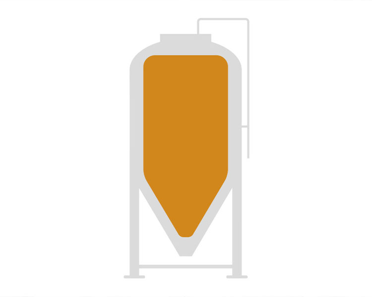 Stage Changes in Beer Fermentation Process