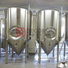 1000L Beer Fermentation Tank SUS304 Material High Efficiency Fermenter for Sale
