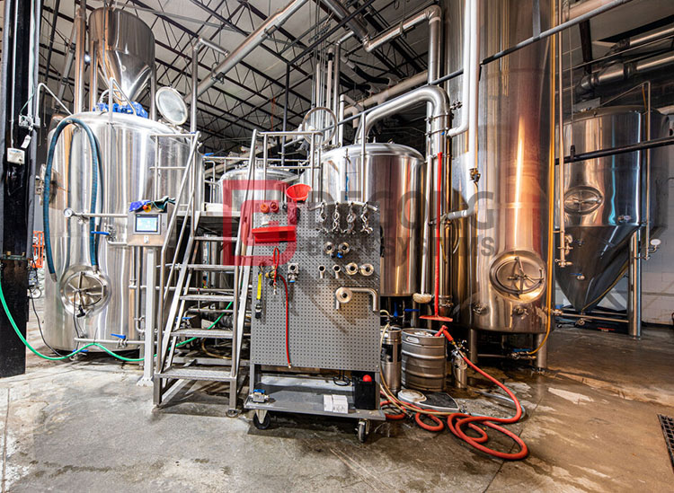 If you love to drink, do you know how to choose the beer equipment you need?